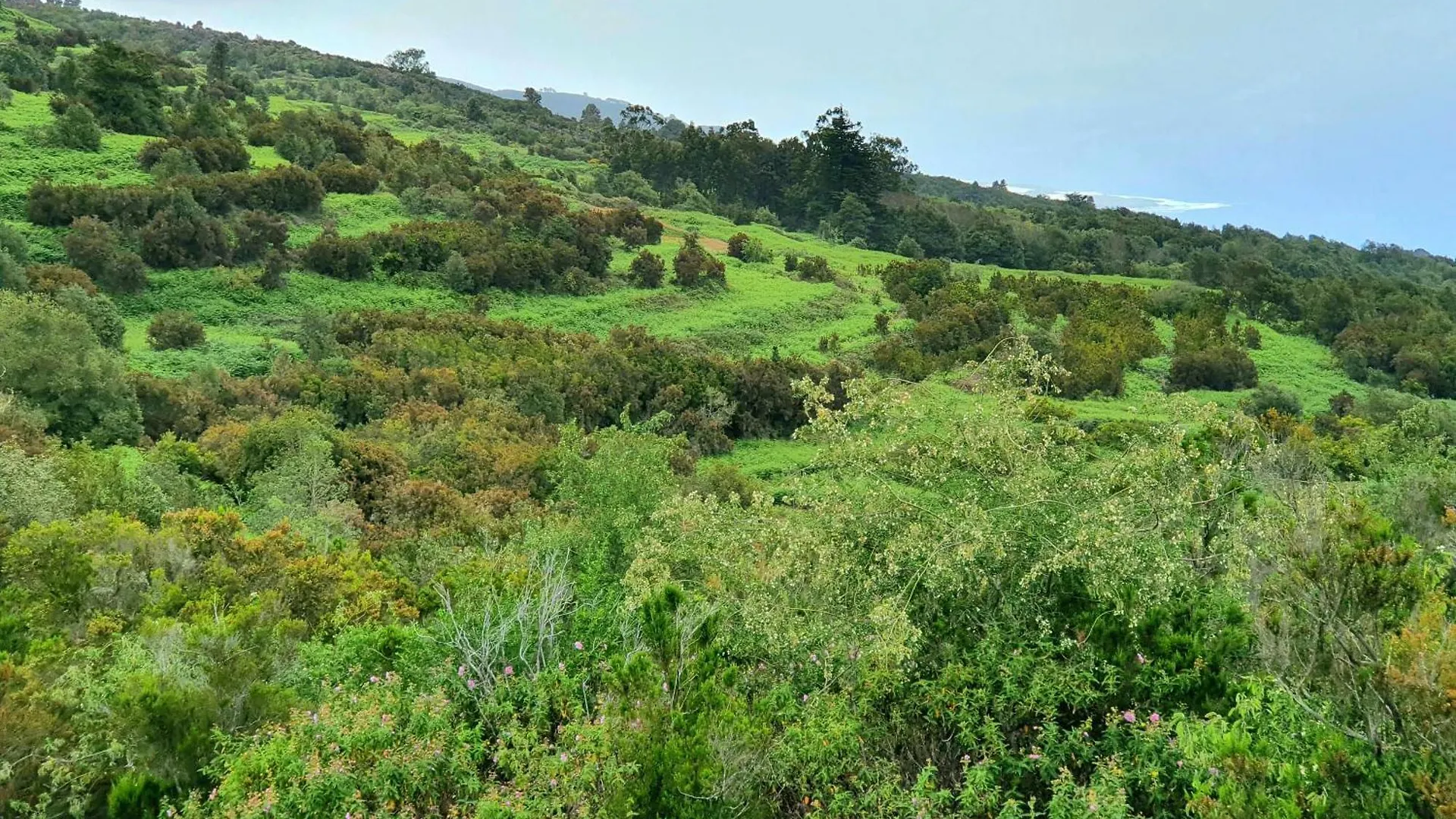 Casa Rural Teide In Icod De Los Vinos By Hrtenerife Net Spanien