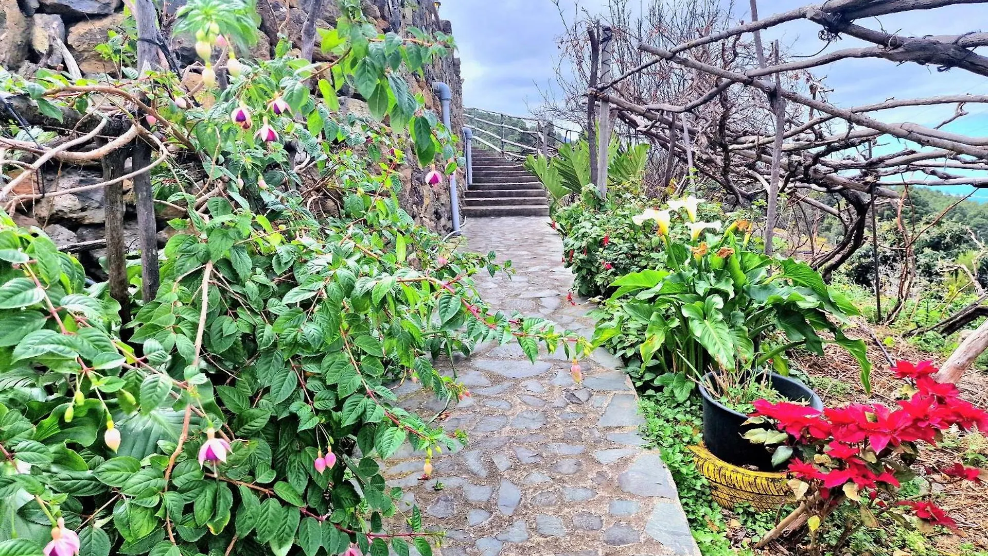 Feriehus Casa Rural Teide In Icod De Los Vinos By Hrtenerife Net